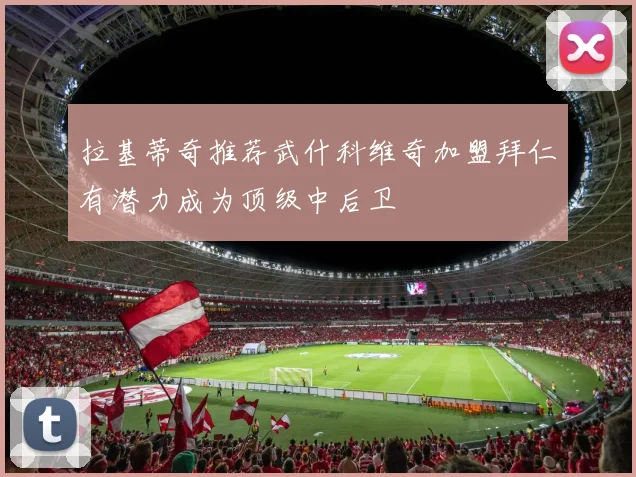 拉基蒂奇推荐武什科维奇加盟拜仁有潜力成为顶级中后卫